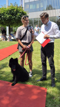 Brzesko Okocim Festiwal 2026