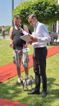Brzesko Okocim Festiwal 2026