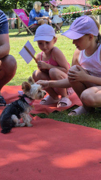 Brzesko Okocim Festiwal 2026