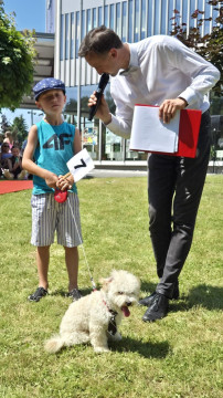 Brzesko Okocim Festiwal 2026