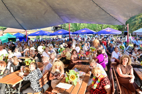 Senior Party 2026