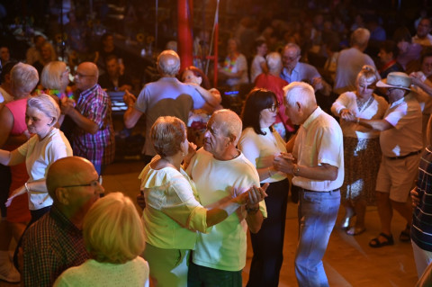 Senior Party 2026