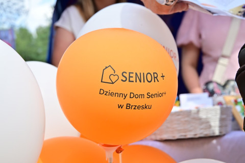 Senior Party 2026