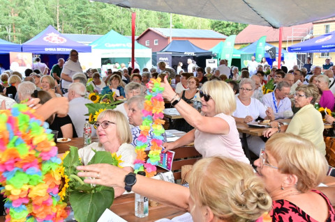 Senior Party 2026