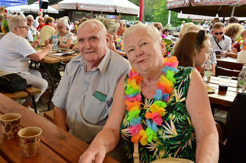 Senior Party 2026