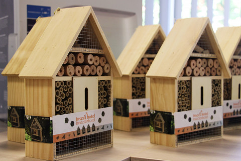 Brzesko – Czysta Gmina