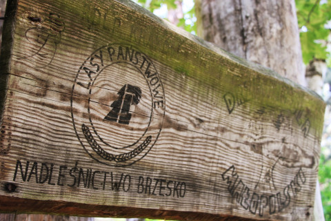 XX Przegląd Piosenki Harcerskiej