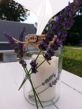 Deszczowa Strefa Kultury