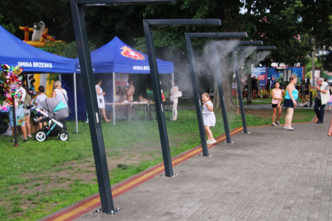 Deszczowa Strefa Kultury