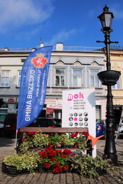 Rynek z nowymi kwiatami