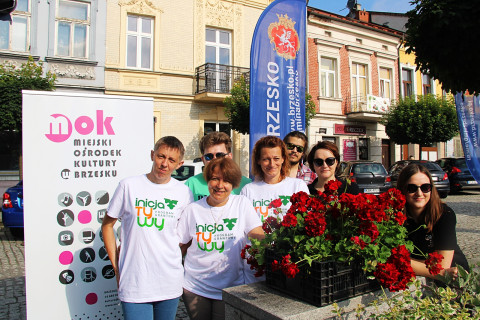 Rynek z nowymi kwiatami