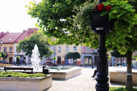 Rynek z nowymi kwiatami