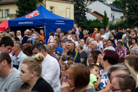 Brzeskie Dni Jakubowe