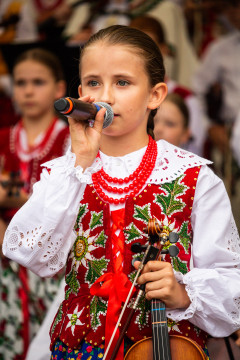 Brzeskie Dni Jakubowe