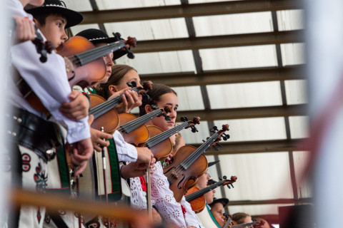 Brzeskie Dni Jakubowe