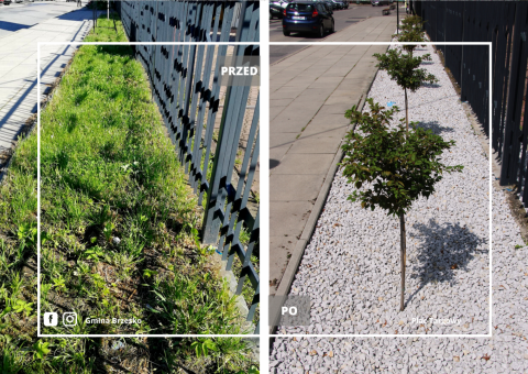 Odmieniony plac targowy