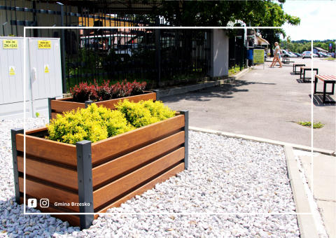 Odmieniony plac targowy