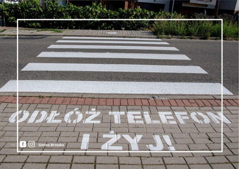 Odnowa przejść dla pieszych