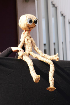 Szczepienia przed RCK-B