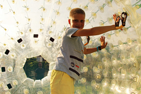 Szczepienia przed RCK-B