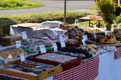 Igrzyska Sportu i Zdrowia