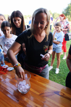 Igrzyska Sportu i Zdrowia