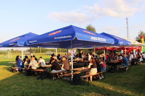 Igrzyska Sportu i Zdrowia