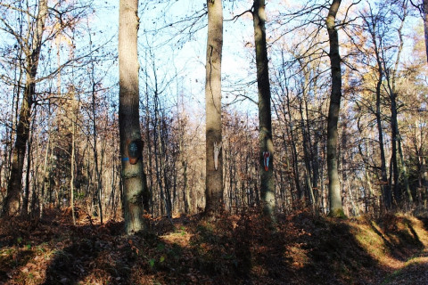 Ogródek Jordanowski – metamorfoza