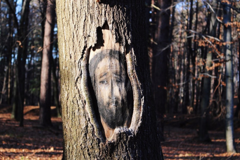 Ogródek Jordanowski – metamorfoza