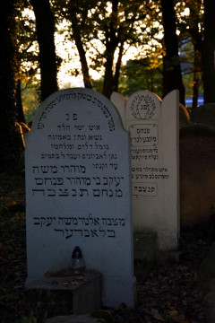 Brzesko - łączy nas pamięć