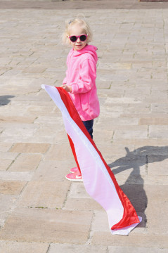 Witaj majowa jutrzenko, świeć naszej polskiej krainie!