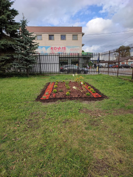 Rewitalizacja zieleni przy „Jedynce”