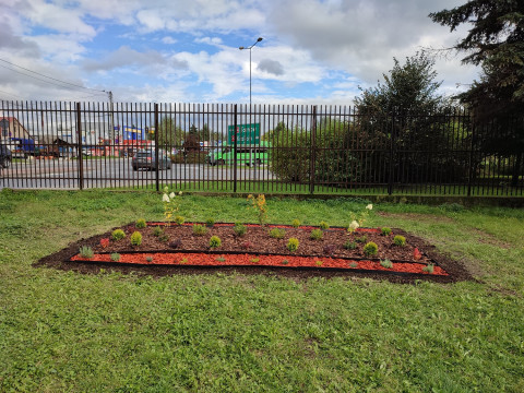 Rewitalizacja zieleni przy „Jedynce”