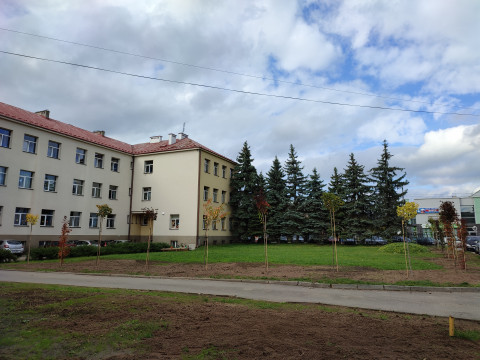 Rewitalizacja zieleni przy „Jedynce”