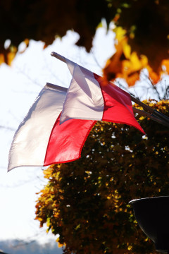 Święto Niepodległości w Brzesku