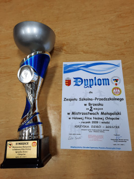 ZS-P w Brzesku wicemistrzem Małopolski