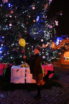 II Brzeski Jarmark Bożonarodzeniowy