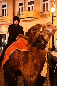 II Brzeski Jarmark Bożonarodzeniowy