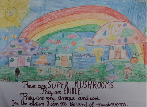 ZAPROSZENIE NA WYSTAWĘ PICKING-UP MUSHROOMS I PODSUMOWANIE KONKURSU