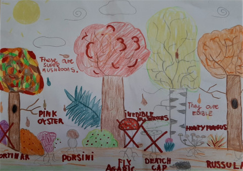 ZAPROSZENIE NA WYSTAWĘ PICKING-UP MUSHROOMS I PODSUMOWANIE KONKURSU