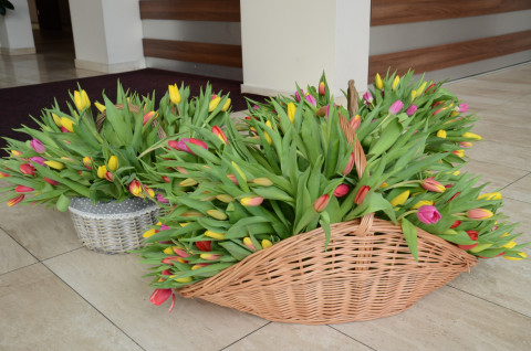 Kwiaty od burmistrza dla pań