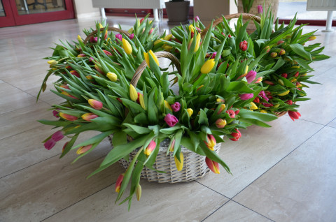 Kwiaty od burmistrza dla pań