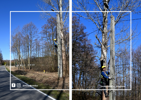 Jaśniej na Długosza