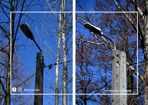 Jaśniej na Długosza