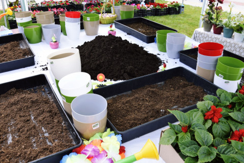 Dzień kwiatka – po raz pierwszy w gminie Brzesko