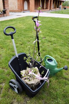 Dzień kwiatka – po raz pierwszy w gminie Brzesko