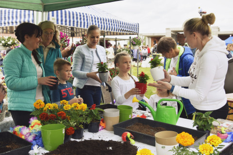 Dzień kwiatka – po raz pierwszy w gminie Brzesko