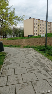 Szanujmy kwietne łąki