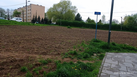 Szanujmy kwietne łąki