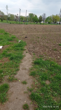 Szanujmy kwietne łąki